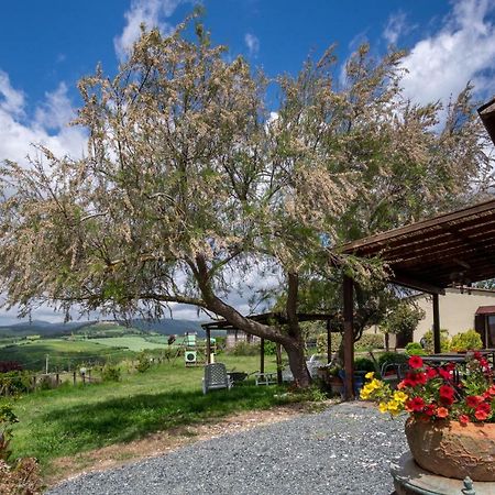 Agriturismo Il Canterino Guardistallo Ngoại thất bức ảnh