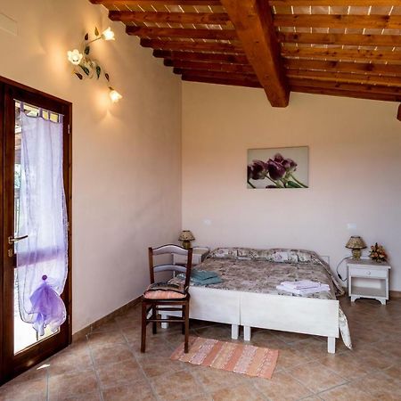 Agriturismo Il Canterino Guardistallo Ngoại thất bức ảnh
