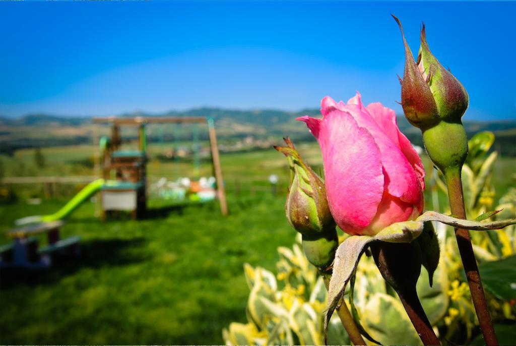 Agriturismo Il Canterino Guardistallo Ngoại thất bức ảnh