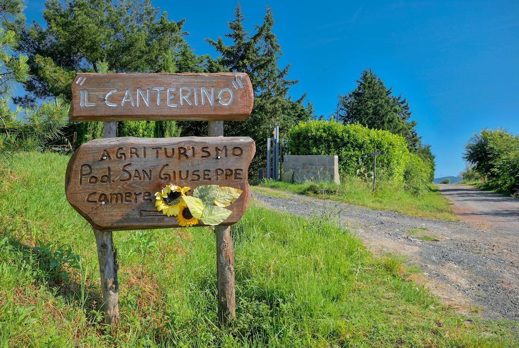Agriturismo Il Canterino Guardistallo Ngoại thất bức ảnh