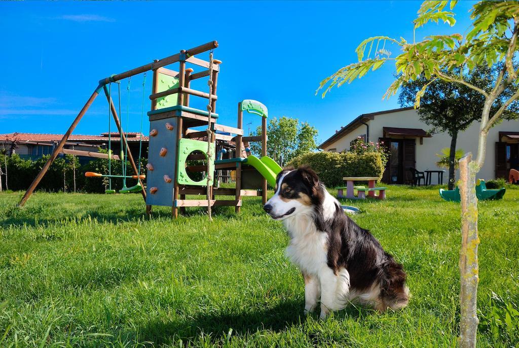 Agriturismo Il Canterino Guardistallo Ngoại thất bức ảnh
