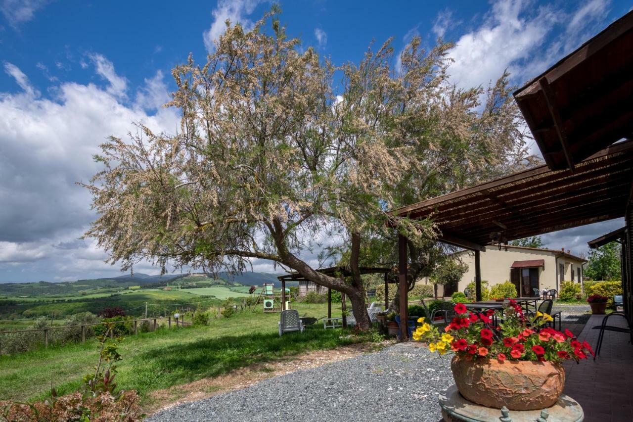 Agriturismo Il Canterino Guardistallo Ngoại thất bức ảnh