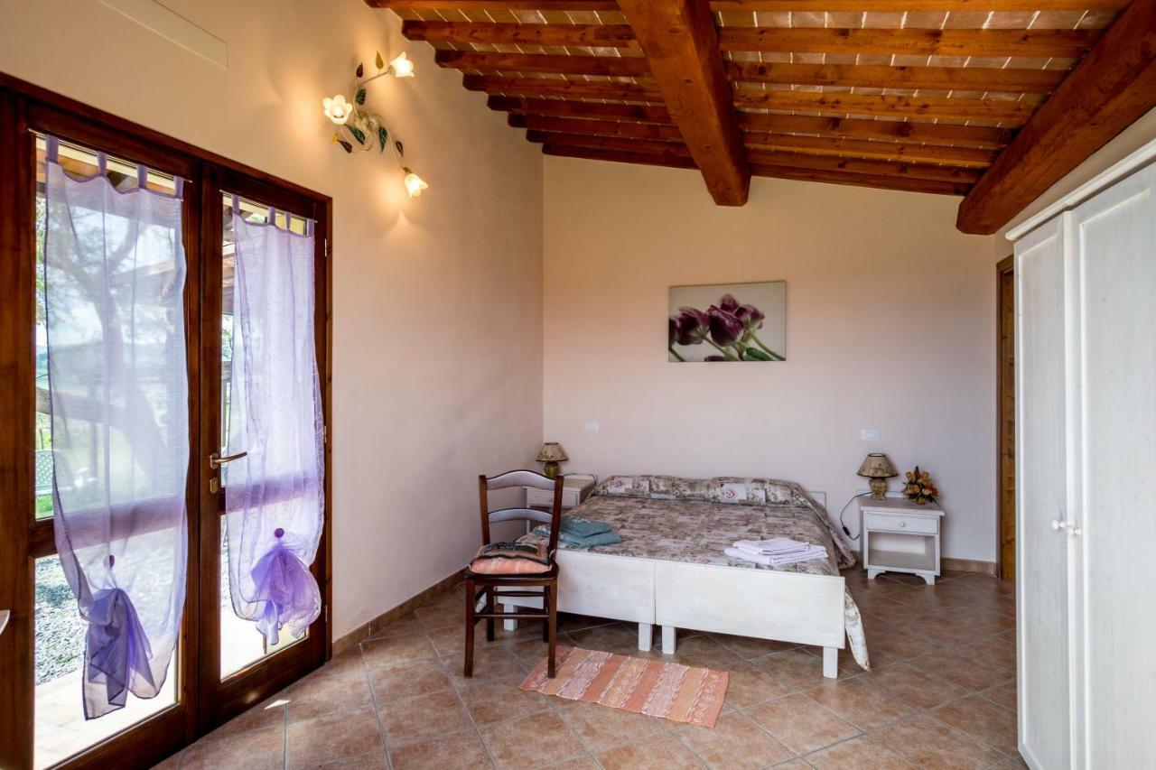 Agriturismo Il Canterino Guardistallo Ngoại thất bức ảnh