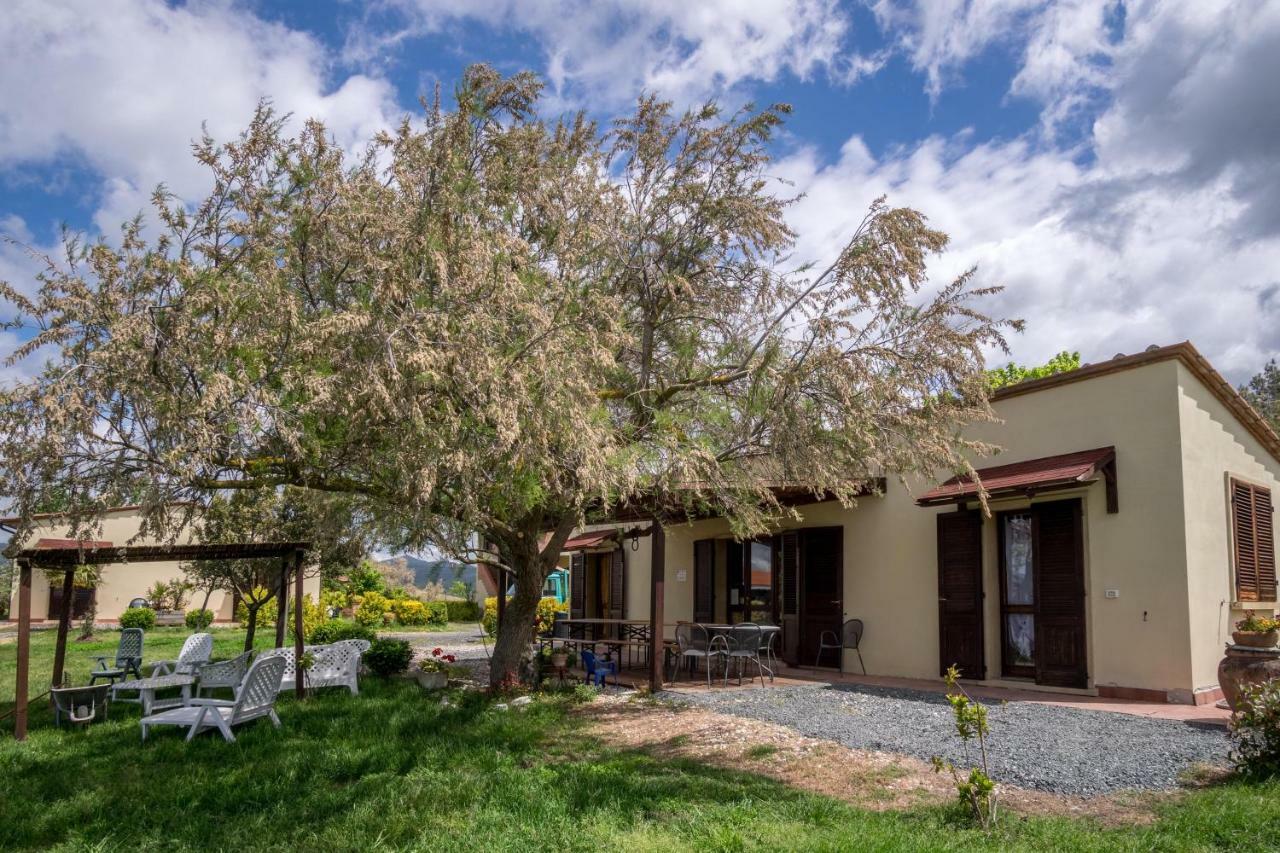 Agriturismo Il Canterino Guardistallo Ngoại thất bức ảnh