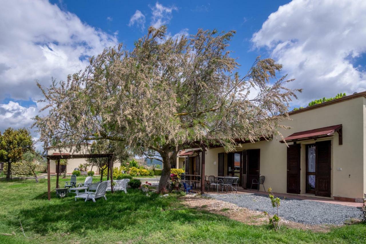 Agriturismo Il Canterino Guardistallo Ngoại thất bức ảnh