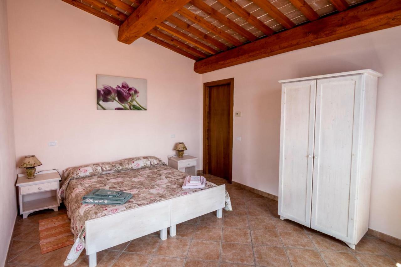 Agriturismo Il Canterino Guardistallo Ngoại thất bức ảnh